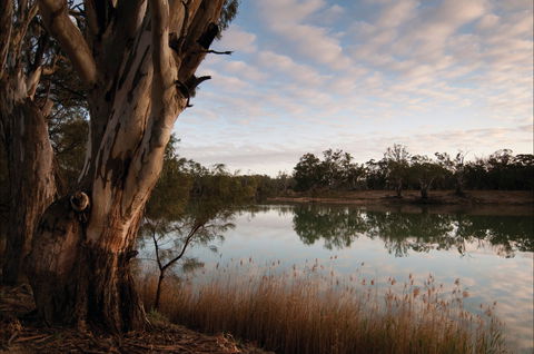 Murray-Kulkyne Regional Park - Accommodation Main Beach 0