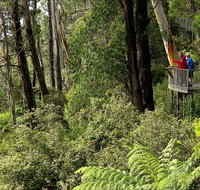 Pipers lookout - Accommodation Main Beach
