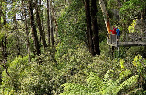 Pipers Lookout - Accommodation Main Beach 0