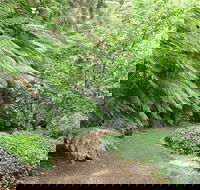 Pirianda Gardens - Accommodation Main Beach