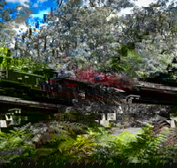 Puffing Billy Railway - Accommodation Main Beach