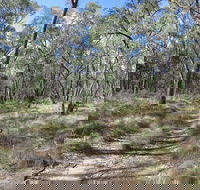 Reef Hills State Park - Accommodation Main Beach