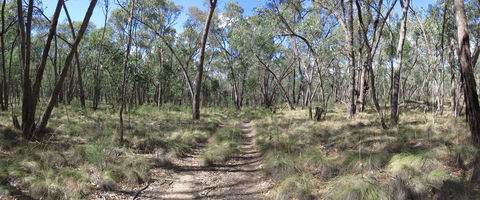 Reef Hills State Park - Accommodation Main Beach 0