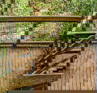 Somersby Falls walking track - Accommodation Main Beach
