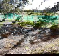 Tactical Paintball Games - Accommodation Main Beach