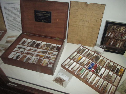 UQ Marks-Hirschfeld Museum Of Medical History - Accommodation Main Beach 0