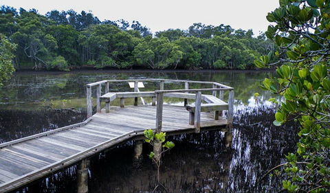 Walk On Water Walking Track - Accommodation Main Beach 0
