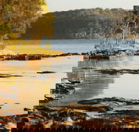 Wangi Wangi - Accommodation Main Beach