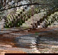 Warrego Floodplain walking track - Accommodation Main Beach