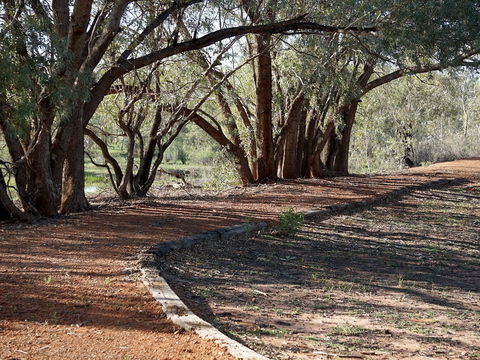 Warrego Floodplain Walking Track - Accommodation Main Beach 0
