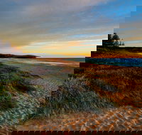 Werri Beach and Point - Accommodation Main Beach