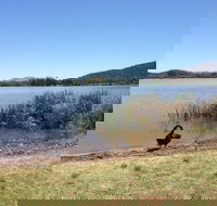 Yarralumla Bay - Accommodation Main Beach