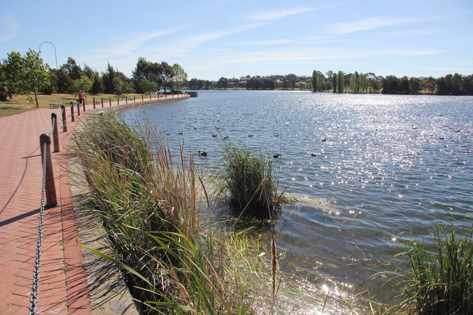 Amaroo ACT Accommodation Main Beach