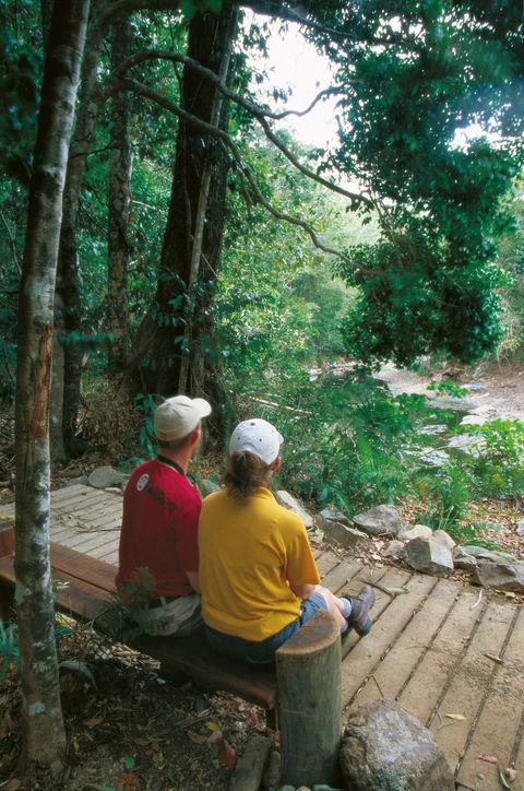 Airlie Beach To Cedar Creek Falls - Accommodation Main Beach 2