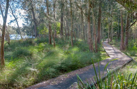 Anabranch Loop Track - Accommodation Main Beach 0