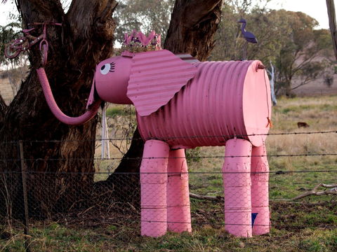 Animals On Bikes - Accommodation Main Beach 0