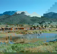 Biggenden - Accommodation Main Beach