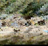 Boonoo Boonoo National Park - Accommodation Main Beach