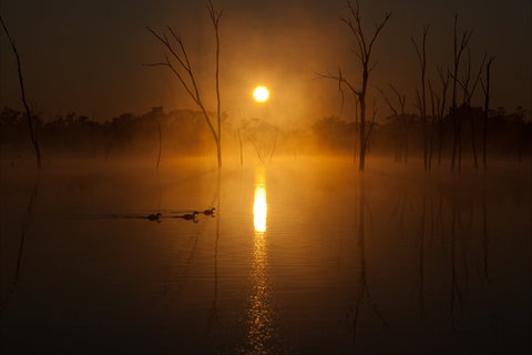 Boshack Outback - Accommodation Main Beach 1