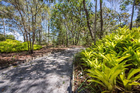 Bribie Island Bicentennial Trails - Accommodation Main Beach 1