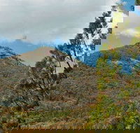 Burrowa-Pine Mountain National Park - Accommodation Main Beach
