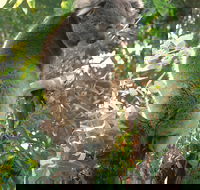 Caversham Wildlife Park - Accommodation Main Beach