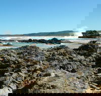 Coastal Walks - Bermagui - Accommodation Main Beach