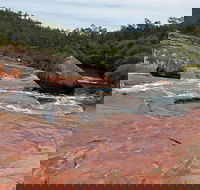 FR Berry Reserve - Accommodation Main Beach