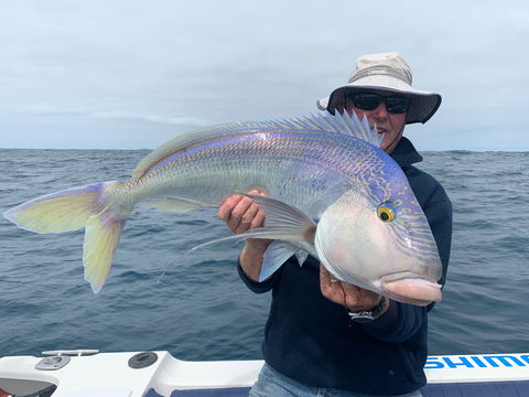 GT Fishing Charters - Accommodation Main Beach 1