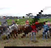 High Country Trail Rides