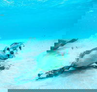 Jurien Bay - Accommodation Main Beach