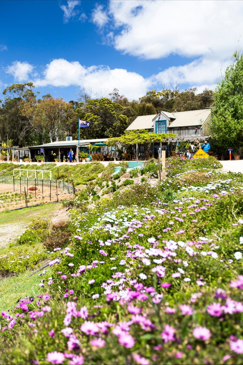 Kate's Berry Farm - Accommodation Main Beach 0