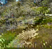Kurth Kiln Regional Park - Accommodation Main Beach