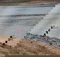 Lake Wyangala - Accommodation Main Beach