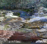 Liffey Falls Reserve - Accommodation Main Beach