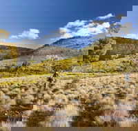 Little Mountain Walking Track - Accommodation Main Beach