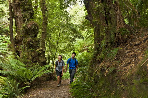Melba Gully - Accommodation Main Beach 0