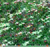 Milton - Accommodation Main Beach