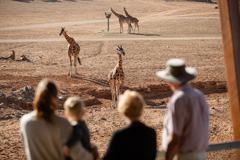 Monarto Safari Park - Accommodation Main Beach 0