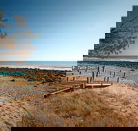 Mon Repos Beach - Accommodation Main Beach