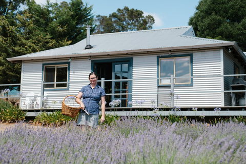 Nannup Lavender Farm - Accommodation Main Beach 1