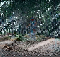 Nerang Mountain Bike Trails - Accommodation Main Beach