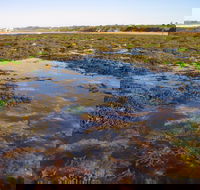 Point Danger Marine Sanctuary - Accommodation Main Beach