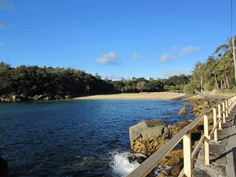 Shelly Beach: Manly - Accommodation Main Beach 0
