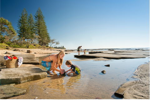 Shelly Beach - Accommodation Main Beach 0