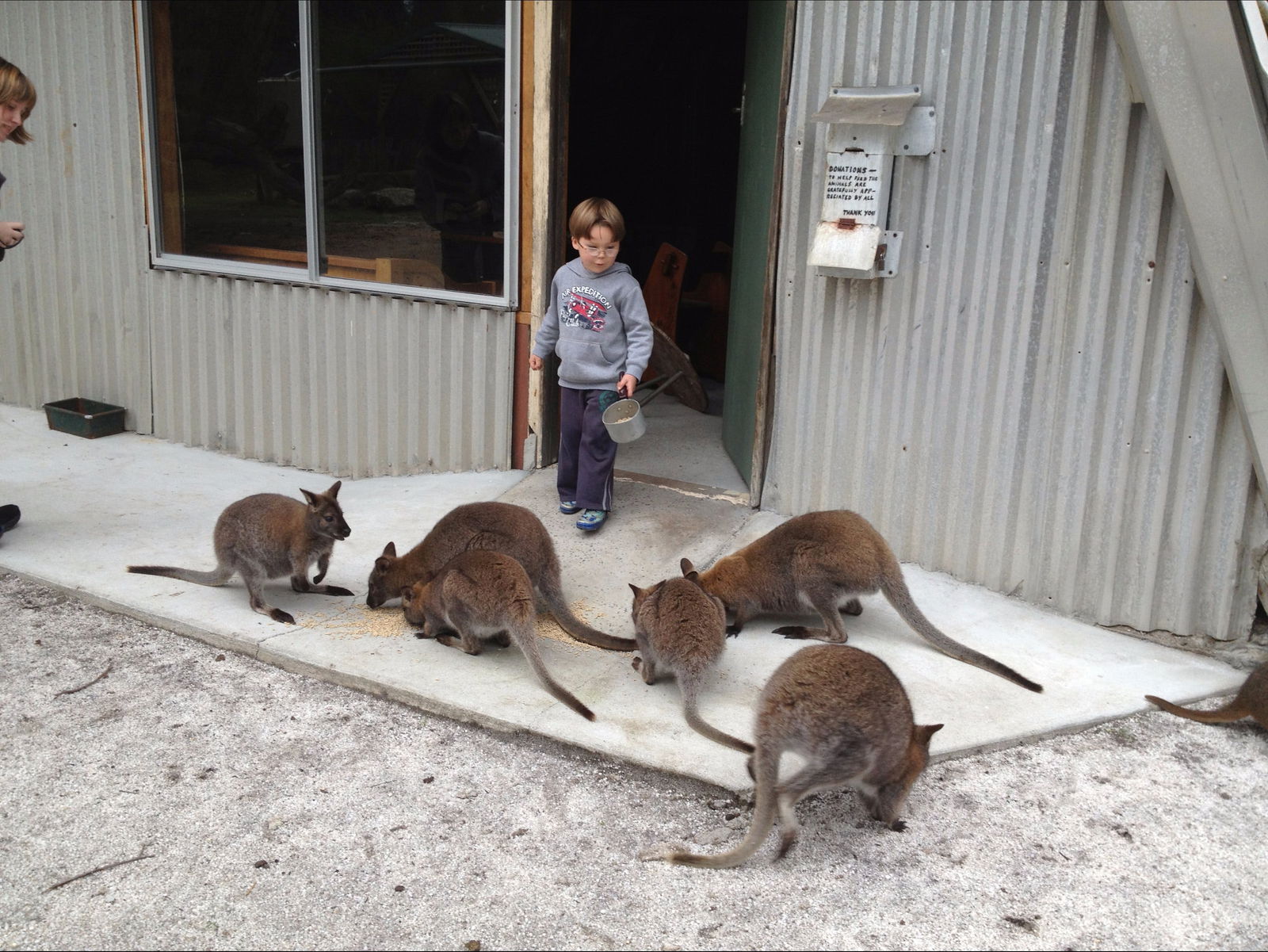 Bass Strait Islands TAS Accommodation Main Beach