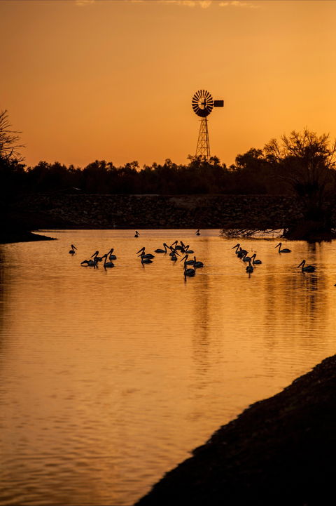 Thomson River, Longreach - Accommodation Main Beach 2