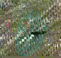 TreeTops Newcastle - Accommodation Main Beach