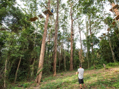 TreeTop Challenge - Sunshine Coast - Accommodation Main Beach 1