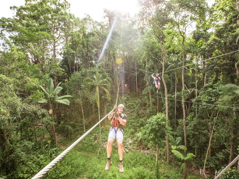 TreeTop Challenge - Sunshine Coast - Accommodation Main Beach 2